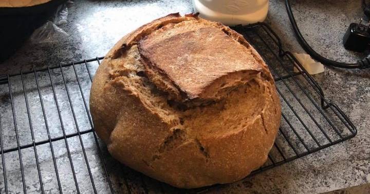 Coronavirus: With breadmaking on the rise in Saskatchewan, here’s why it’s good for self-care - globalnews.ca