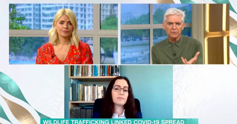 Holly Willoughby - Phillip Schofield - This Morning viewers plead for warning after 'disturbing' images of dogs in markets are shown - mirror.co.uk