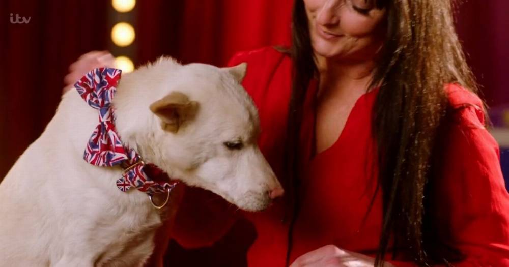 Simon Cowell - Amanda Leask - The incredible story of the dog saved from Thailand's illegal meat trade who ended up on Britain's Got Talent - manchestereveningnews.co.uk - Thailand - Britain - Scotland - Vietnam - city Hanoi, Vietnam