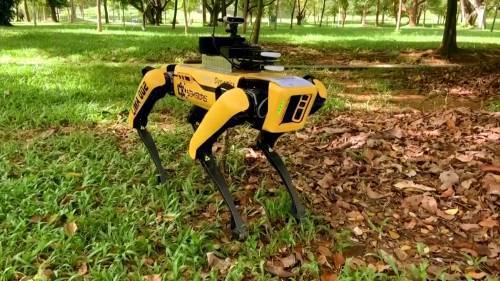 Singapore tests out canine-like robot to enforce distancing measures in parks - globalnews.ca - Singapore - city Singapore
