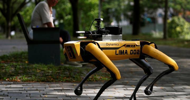 Robot ‘dog’ named Spot to help social distancing efforts at Singapore park - globalnews.ca - Singapore - city Singapore - city Boston