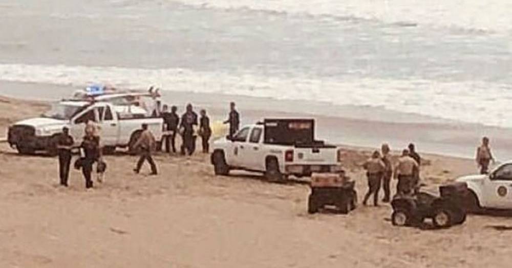 Shark kills surfer in gruesome beach attack after he ignored coronavirus lockdown - dailystar.co.uk - state California - county Santa Cruz