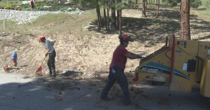 Peachland residents prepping for fire season with chipping project - globalnews.ca