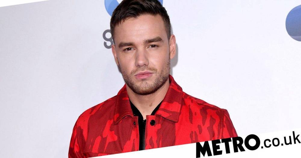 Liam Payne - Liam Payne reveals son Bear begged him to visit during lockdown and we feel for him - metro.co.uk