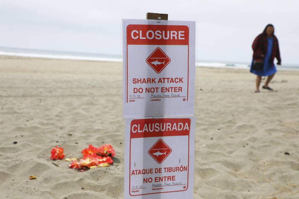 Surfer killed in shark attack was passionate about the sport - clickorlando.com - state California - county Bay - county Monterey - county Santa Cruz