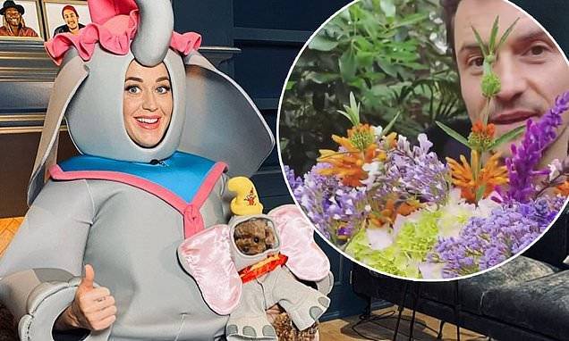 Katy Perry - Pregnant Katy Perry dons elephant costume to sing Baby Mine from Dumbo - dailymail.co.uk