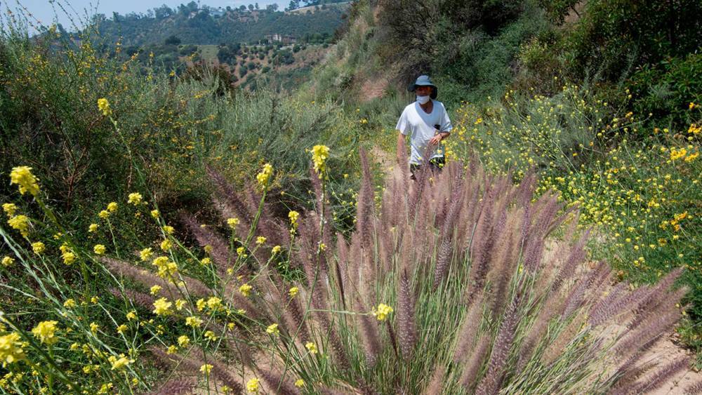 Gavin Newsom - Griffith Park - Los Angeles Reopens Trails, Golf Courses, Select Retail Stores - hollywoodreporter.com - Los Angeles - state California - city Los Angeles - county Los Angeles