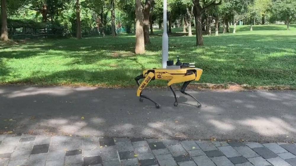 'Robot dog' enforcing social distancing in Singapore - rte.ie