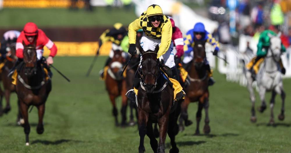 Horse racing leaders 'committed to plan for resumption' on June 1 - dailystar.co.uk - Britain
