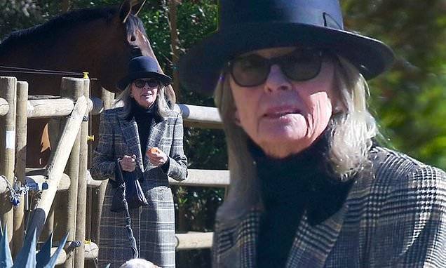 Diane Keaton - Diane Keaton shows the horses near her Pacific Palisades mansion some love - dailymail.co.uk - Los Angeles - city Los Angeles