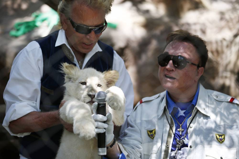 Jimmy Fallon - Siegfried Fischbacher - ‘Tiger King’ Directors Are Working On A Siegfried And Roy Series - etcanada.com