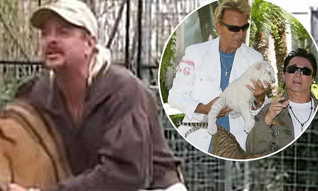 Eric Goode - Rebecca Chaiklin - Tiger King creators at work on new doc exploring 2003 tiger attack that ended Siegfried & Roy show - dailymail.co.uk - city Las Vegas - state Oklahoma - city Sin