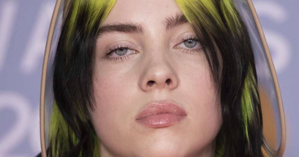 Billie Eilish - Billie Eilish and her family granted temporary restraining order against obsessed fan who showed up at her home seven times - msn.com - New York