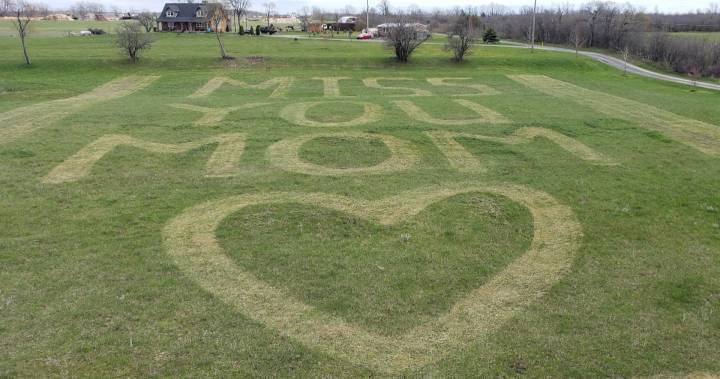 Prince Edward County family writes Mother’s Day message in field for mom in hospital - globalnews.ca - county Prince Edward - county Smith - state Indiana - city Belleville