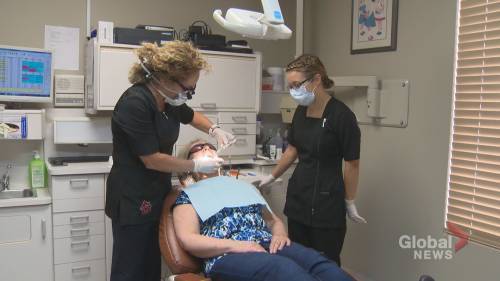 Tim Roszell - New Brunswick dental offices back in business as early as Wednesday - globalnews.ca