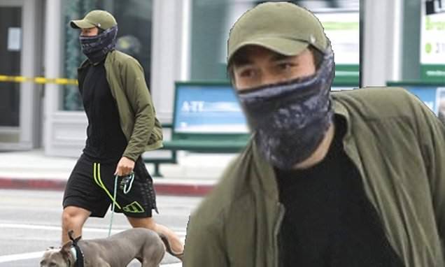 Rich Asians - Henry Golding - Henry Golding takes his rescue dog Stella for a walk... after the pit bull attacked another dog - dailymail.co.uk