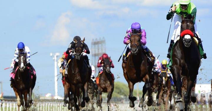 Jim Lawson - Coronavirus: Woodbine Racetrack looking to restart horse racing in June - globalnews.ca