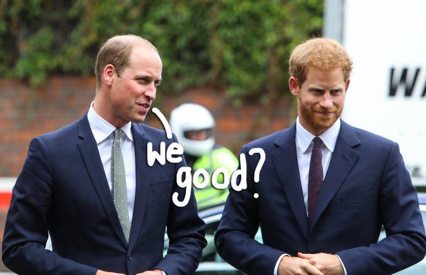 Harry Princeharry - Kate Middleton - prince Charles - Katie Nicholl - Prince Harry & Prince William Finally ‘Back In Touch’ After ‘Major Rifts’ In Their Relationship! - perezhilton.com - county Tyler - county Prince William