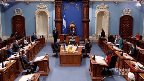 Raquel Fletcher - Quebec Government comes under fire for COVID-19 deaths - globalnews.ca