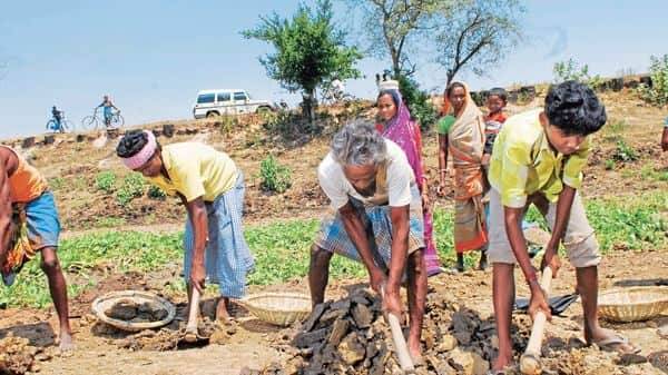 Narendra Modi - Nirmala Sitharaman - Nearly 24 million people in rural areas enrolled for jobs under MNREGS: Govt - livemint.com - city New Delhi