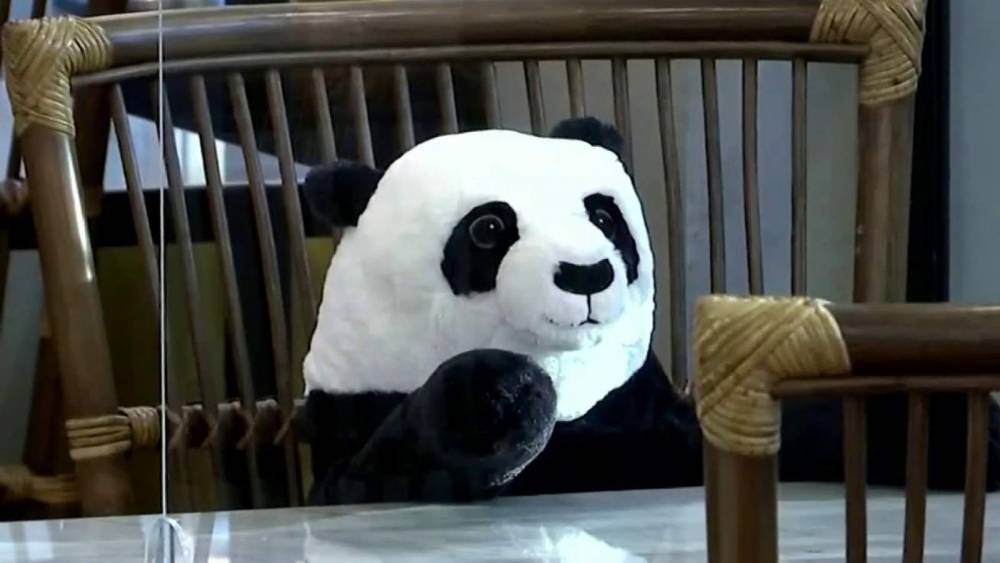 Restaurant uses toy pandas to help with social distancing - clickorlando.com - Thailand - Usa - city Bangkok, Thailand