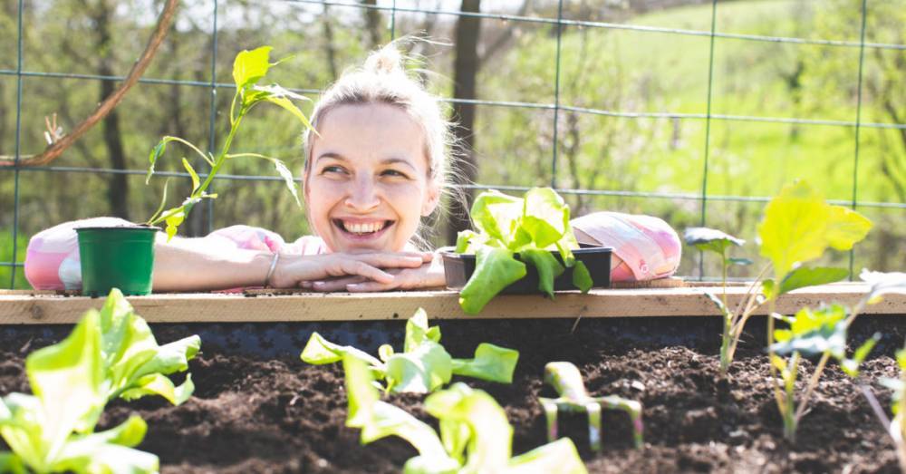 Health and well-being improved by spending time in the garden, study finds - medicalnewstoday.com - Britain - city Exeter