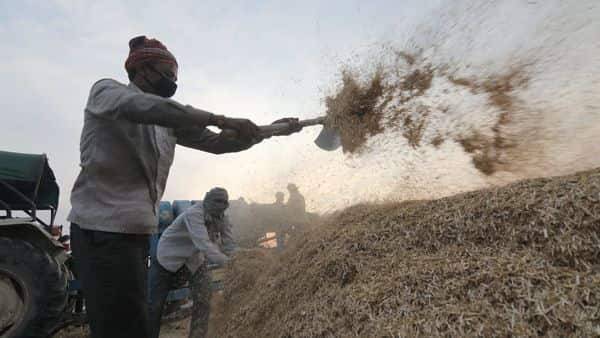 Covid-19: India's farmers gather record wheat crop, but now have a sell problem - livemint.com - China - India - state Haryana