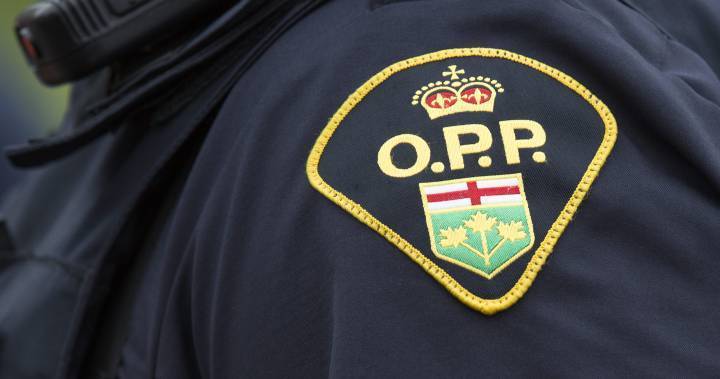 OPP investigating medication theft in Bridgenorth from woman claiming to be community nurse - globalnews.ca - county Peterborough