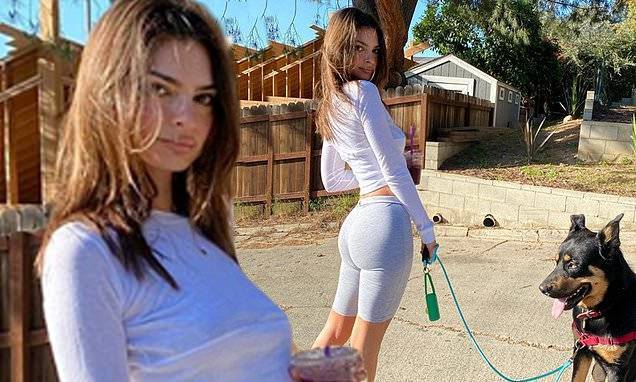 Emily Ratajkowski - Emily Ratajkowski flaunts her derriere and midriff while out on a walk with her dog - dailymail.co.uk - state California - city Venice