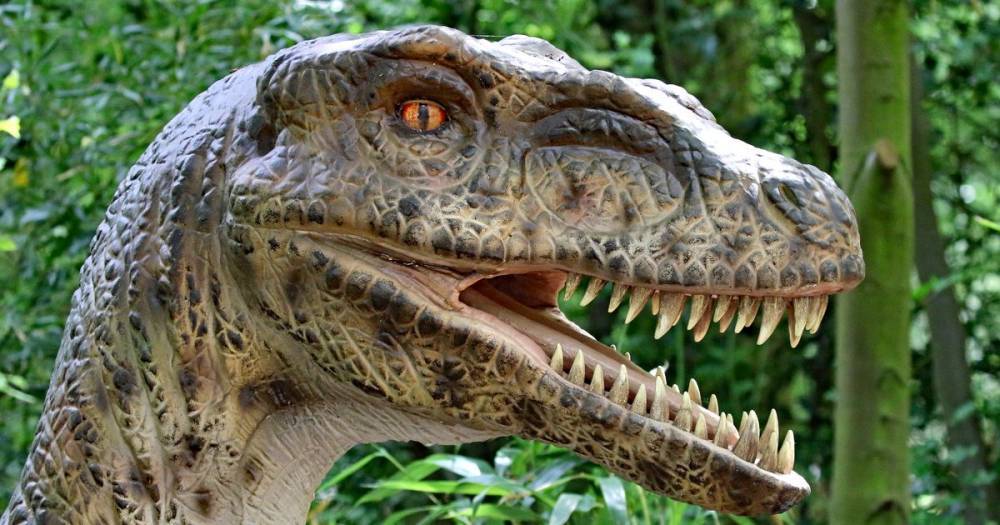 Life-sized animatronic dinosaurs to feature in zoo's virtual lockdown event - manchestereveningnews.co.uk