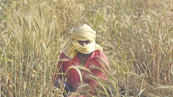 Centre revives reforms talks as farmers count their losses - livemint.com - city New Delhi - India