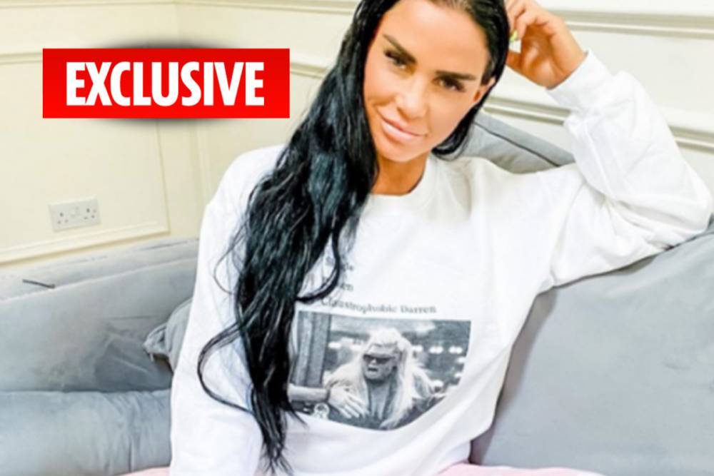 Katie Price - Katie Price planning ‘covid-style’ 42nd birthday with cocktails – after staying sober for three months - thesun.co.uk