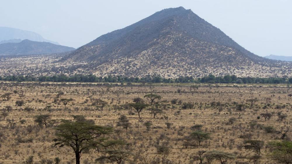 Pandemic poachers aim to make a killing - rte.ie - Kenya