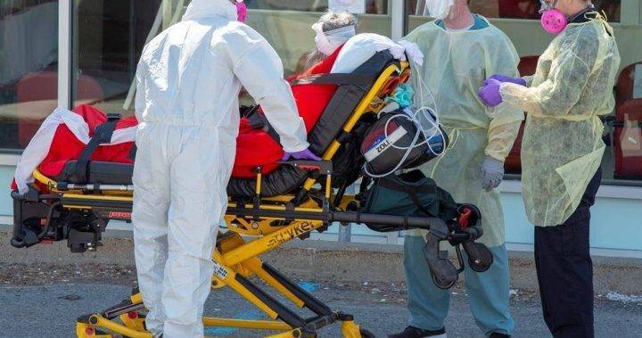 Danielle Maccann - Coronavirus: Quebec deaths climb by 82, health-care whistleblower email announced - globalnews.ca