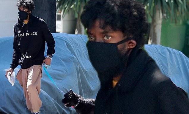 Chadwick Boseman wears a protective mask as the slimmed-down Black Panther star goes on dog walk - dailymail.co.uk - Los Angeles