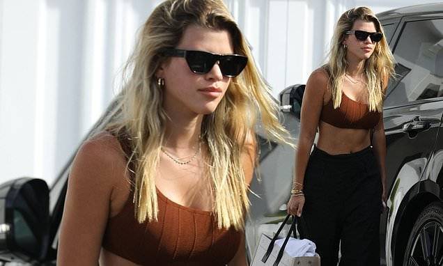 Sofia Richie - Lionel Richie - Sofia Richie flashes her taut abs in a one shoulder crop top as she visits friends - dailymail.co.uk - county Los Angeles