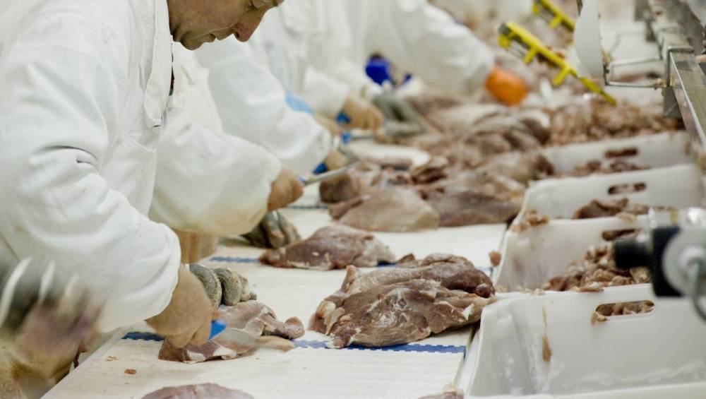 Tony Holohan - Meat plants to close if required on health grounds - Creed - rte.ie