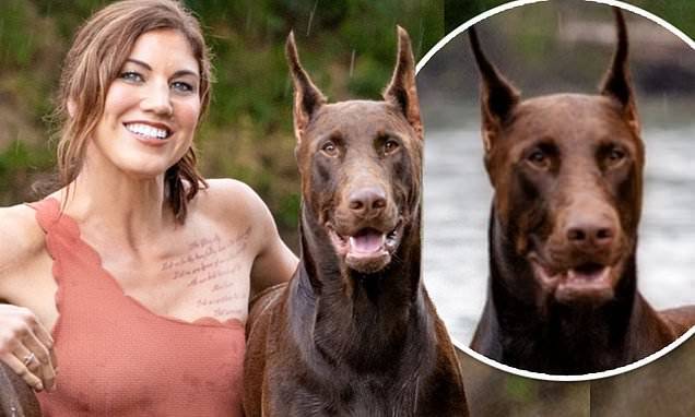 Hope Solo announces her beloved Doberman Conan has died of blood loss after being shot - dailymail.co.uk