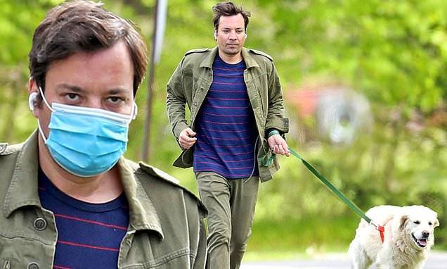 Jimmy Fallon - Jimmy Fallon remembers to put on his face mask while walking golden retriever Gary in The Hamptons - dailymail.co.uk - city New York - France - county Hampton - county Fallon - city Gary