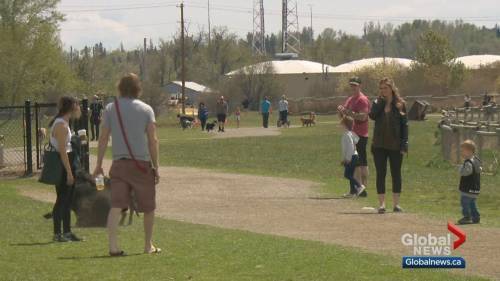 Calgary bylaw officers keep an eye on popular green spaces over May long weekend - globalnews.ca