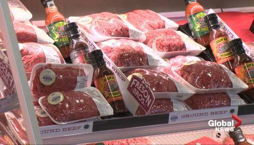 Lisa Macgregor - Retailer Freson Bros. cuts out middle man to source Alberta beef - globalnews.ca
