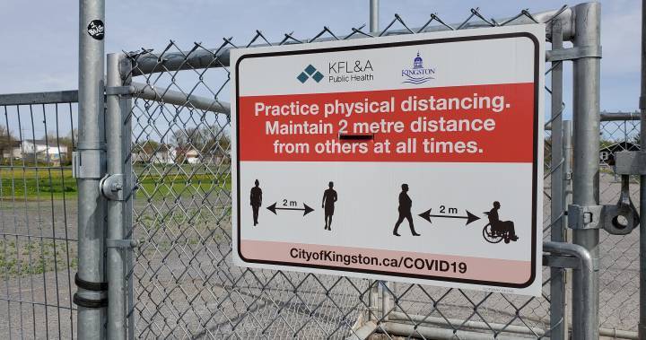 Coronavirus: Dog parks, sports fields reopen in Kingston - globalnews.ca - city Kingston