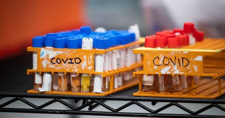 Charles Gardner - Simcoe Muskoka - Coronavirus: Barrie, Ont. hit by fourth COVID-19 outbreak - globalnews.ca