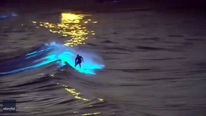 Surfer rides surreal bioluminescent waves off California coast - fox29.com - state California - county Newport - county San Diego