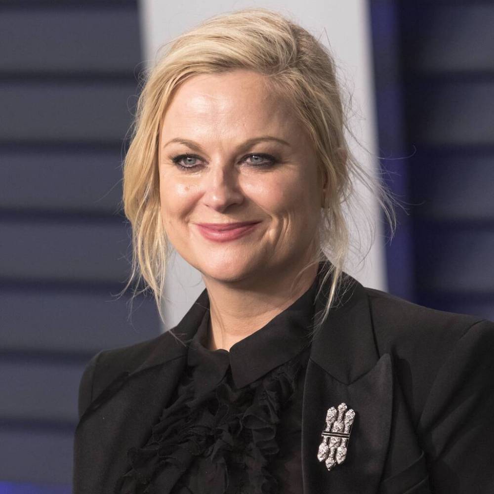 Chris Pratt - Leslie Knope - Amy Poehler - Rob Lowe - Paul Rudd - Parks and Recreation special raises $3 million for Covid-19 relief - peoplemagazine.co.za - Switzerland - county Newport - state Indiana