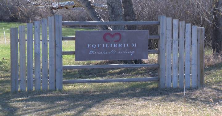 Equine therapy centre near Saskatoon hopes to reopen soon as business takes a hit over COVID-19 - globalnews.ca