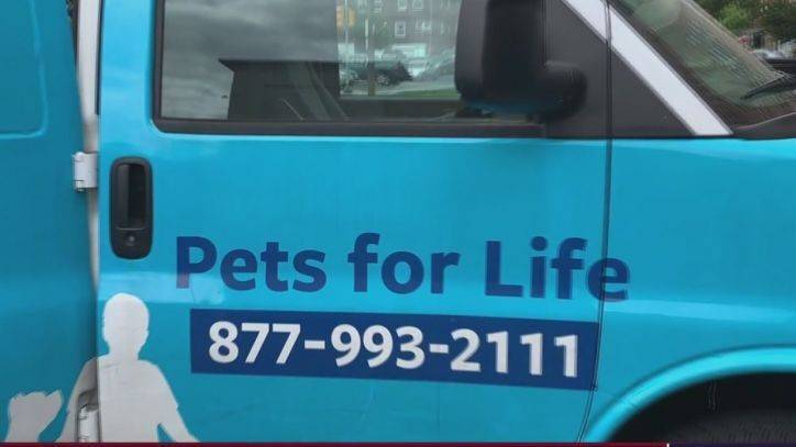 Bill Anderson - Pets for Life provides food for families struggling during the COVID-19 pandemic - fox29.com