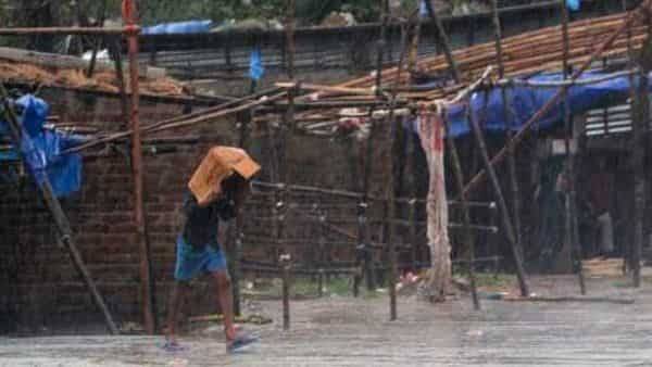 Cyclone Amphan uproots trees, flattens houses in Odisha - livemint.com
