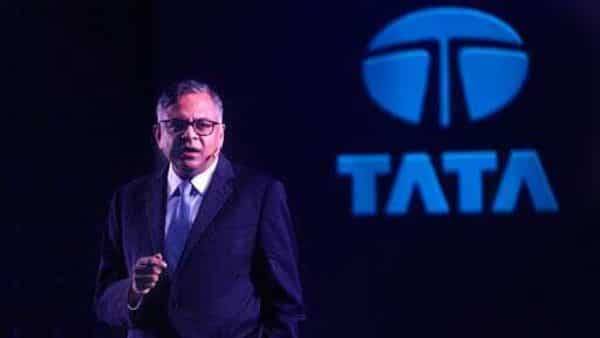 N.Chandrasekaran - TCS well-positioned to weather this storm, take advantage of opportunities in downturn: N Chandrasekaran - livemint.com - city New Delhi
