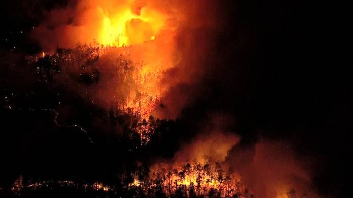 Nearly 800 acres destroyed by forest fire in Winslow Township, NJ - fox29.com - state New Jersey - county Camden - city Winslow